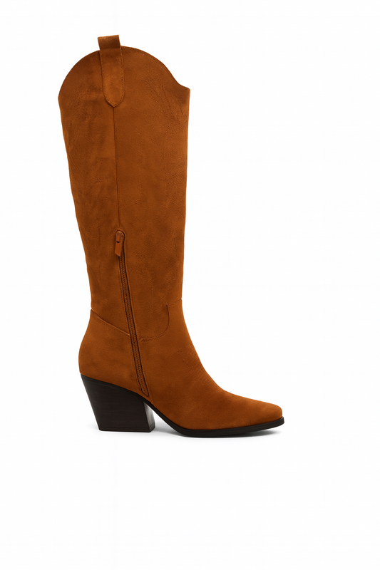 Bottes western haute et bout pointu